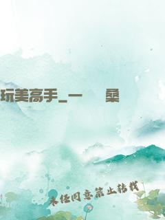 玩美高手
