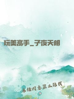 玩美高手