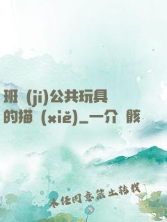 班級(jí)公共玩具的描寫(xiě)