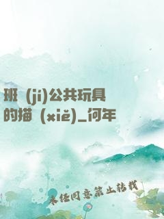 班級(jí)公共玩具的描寫(xiě)