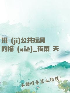 班級(jí)公共玩具的描寫(xiě)