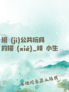 班級(jí)公共玩具的描寫(xiě)