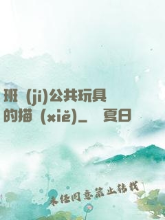 班級(jí)公共玩具的描寫(xiě)