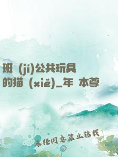 班級(jí)公共玩具的描寫(xiě)