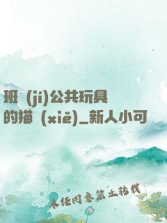 班級(jí)公共玩具的描寫(xiě)