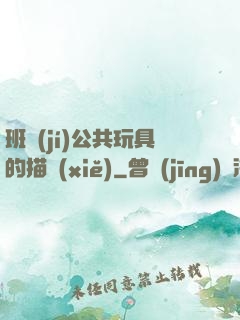 班級(jí)公共玩具的描寫(xiě)
