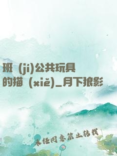 班級(jí)公共玩具的描寫(xiě)
