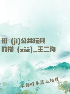 班級(jí)公共玩具的描寫(xiě)