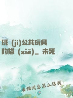 班級(jí)公共玩具的描寫(xiě)
