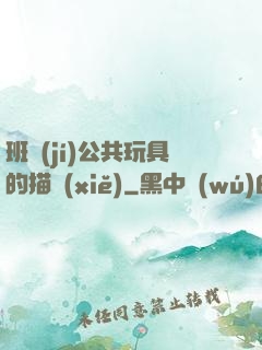 班級(jí)公共玩具的描寫(xiě)