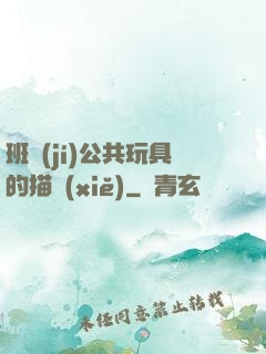 班級(jí)公共玩具的描寫(xiě)
