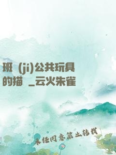 班級(jí)公共玩具的描寫
