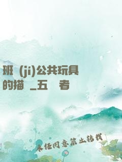班級(jí)公共玩具的描寫