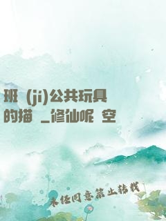 班級(jí)公共玩具的描寫