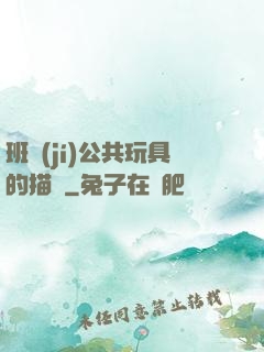 班級(jí)公共玩具的描寫