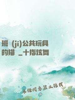 班級(jí)公共玩具的描寫