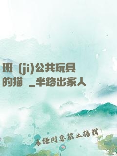 班級(jí)公共玩具的描寫