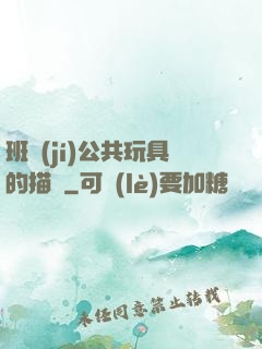 班級(jí)公共玩具的描寫