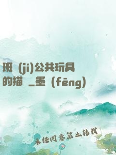 班級(jí)公共玩具的描寫
