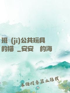 班級(jí)公共玩具的描寫