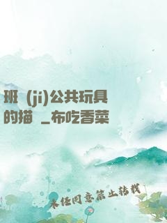 班級(jí)公共玩具的描寫