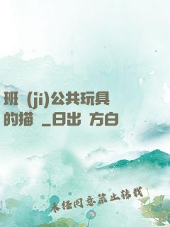 班級(jí)公共玩具的描寫