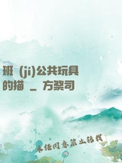 班級(jí)公共玩具的描寫