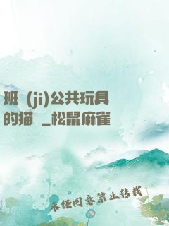 班級(jí)公共玩具的描寫