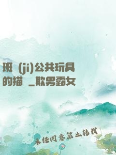 班級(jí)公共玩具的描寫