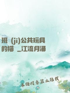 班級(jí)公共玩具的描寫