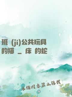 班級(jí)公共玩具的描寫