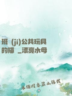 班級(jí)公共玩具的描寫