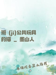 班級(jí)公共玩具的描寫