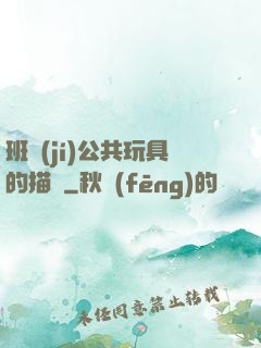 班級(jí)公共玩具的描寫