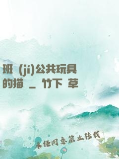 班級(jí)公共玩具的描寫