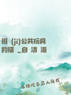 班級(jí)公共玩具的描寫