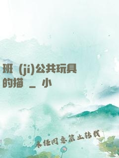 班級(jí)公共玩具的描寫