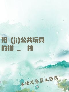 班級(jí)公共玩具的描寫