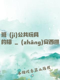 班級(jí)公共玩具的描寫