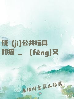班級(jí)公共玩具的描寫