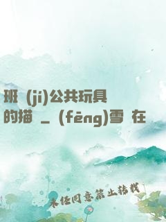 班級(jí)公共玩具的描寫