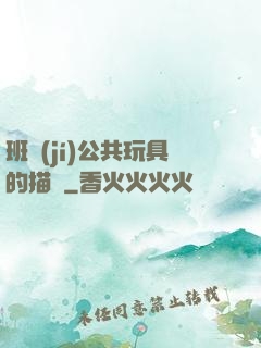 班級(jí)公共玩具的描寫