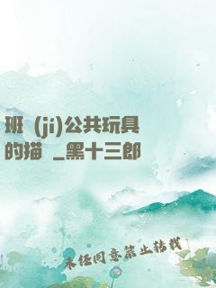 班級(jí)公共玩具的描寫