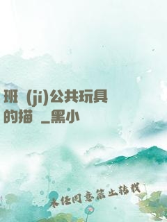 班級(jí)公共玩具的描寫