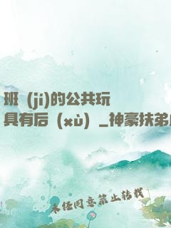 班級(jí)的公共玩具有后續(xù)嗎