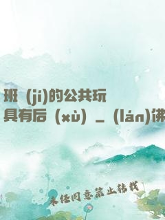班級(jí)的公共玩具有后續(xù)嗎
