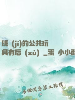 班級(jí)的公共玩具有后續(xù)嗎