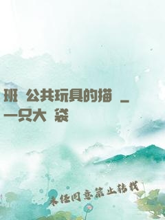 班級公共玩具的描寫