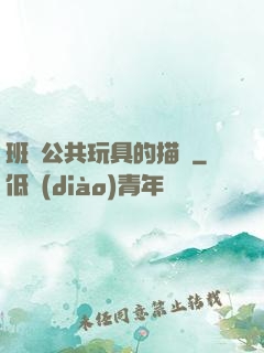 班級公共玩具的描寫