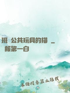 班級公共玩具的描寫